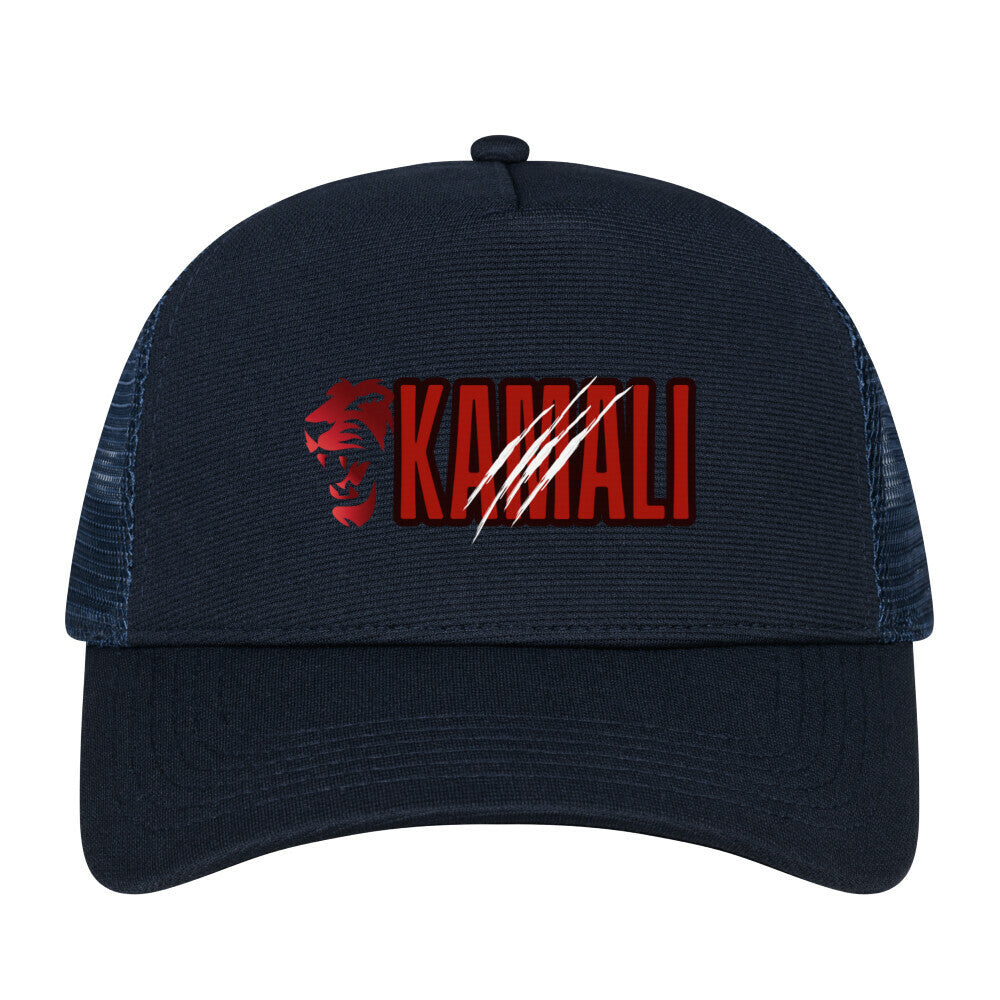 Image for color: french navy