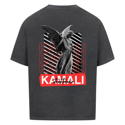 24437d69-af9a-4e37-9aca-d077b887f1e3